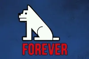 SERVER FOREVER INTERNET 12 mois
