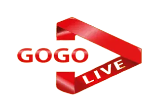 IPTV GOGO PREMIUM 1 AN