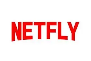 Netfly VIP 12Mois