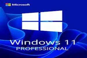 Windows 11 Pro Key ( Clé Windows 11 ) PROMO