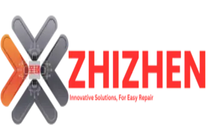 Zhizhen Schematics Activation (1 User / 6 Months)